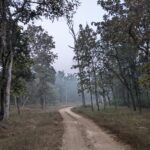 Pench Tiger Reserve Pench National Park